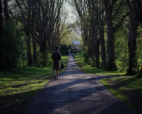 people walking in a green park pathway during afternoon